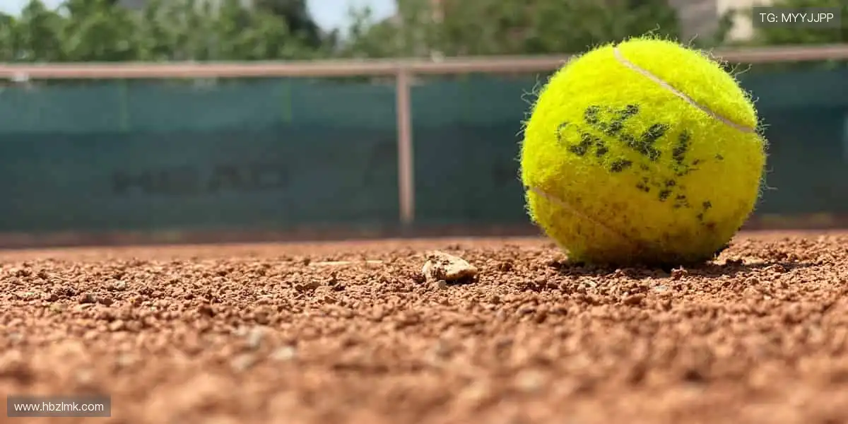 一键直击全球赛事，精彩从不缺席！🏀